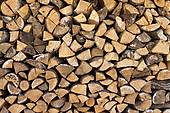 wood pile